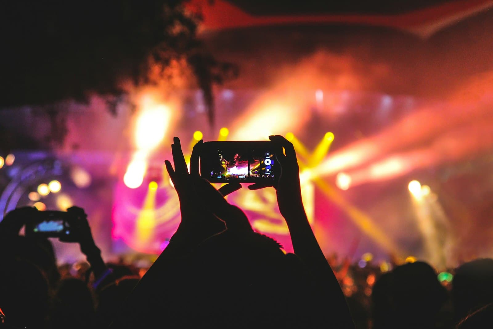 Performing Arts & Music Festivals